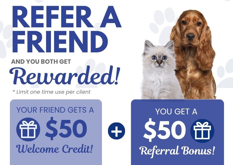 Carousel Slide 2: Refer a Friend